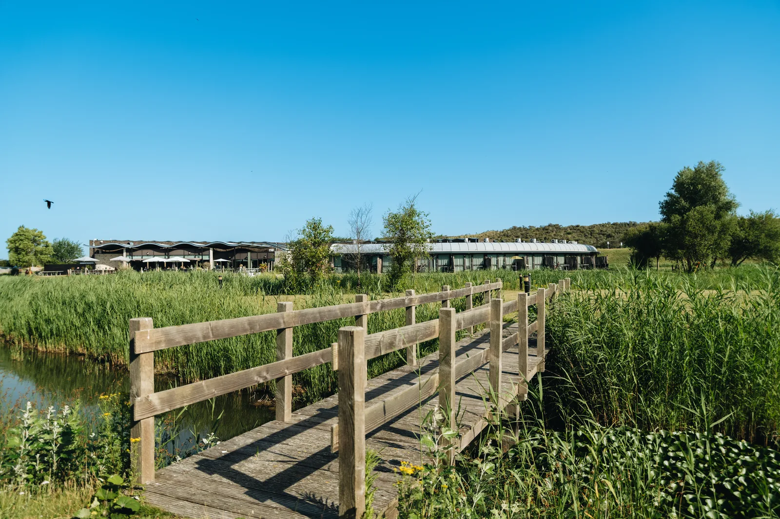 Campingplatz mit eigenem Sanitär 4